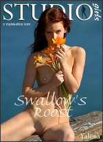 Swallows Roost